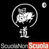 undefined ScuolaNonScuola Podcast- incontri con Pier Giorgio Caselli