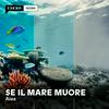 undefined Se il mare muore