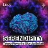 undefined Serendipity