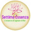 undefined Settima Essenza
