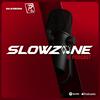 undefined Slowzone