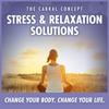 undefined Stress and Relaxation Solutions