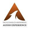 undefined The AA Audio Experience