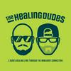 undefined The Healing Dudes