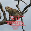 undefined Wild Animalia