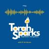 undefined The Torah Sparks Podcast