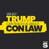 undefined What Trump Can Teach Us About Con Law