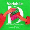 undefined Variabile D