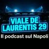undefined Viale De Laurentis 29 - Il podcast sul Calcio Napoli