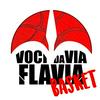 undefined Voci da Via Flavia - Basket