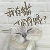 undefined 我有貓你有嗎
