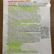 Podcast 1) Regole (Diritto privato)