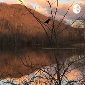 Podcast A Year of Zen