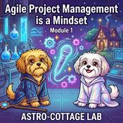 Podcast Agile Project Management
