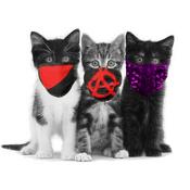 Podcast Anarcats