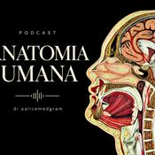 Podcast Anatomia Umana