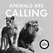 Podcast Animals Are Calling