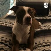 Podcast Caitlin’s Podcast