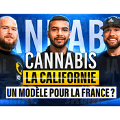 Podcast Georges Lazan - Cannabis : la Californie, un modèle pour la France ? Avec Caleb Counts et Ted Lidie