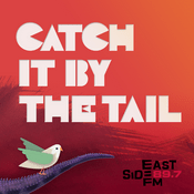 Podcast Catch It By The Tail