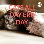 Podcast CATS ALL DAY ERR DAY