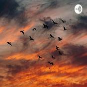 Podcast Cerita Di Hari Ini