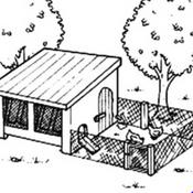 Podcast Chicken Coop