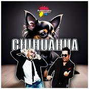 Podcast Chihuahua Comico