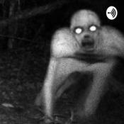 Podcast Creepypasta Stories