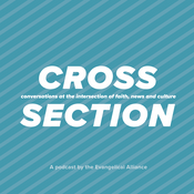 Podcast Cross Section