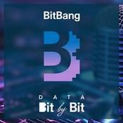Podcast Data Bit by Bit