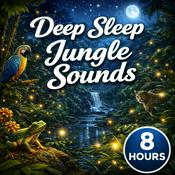 Podcast Deep Sleep Jungle Sounds