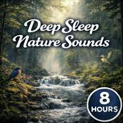 Podcast Deep Sleep Nature Sounds