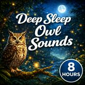Podcast Deep Sleep Owl Sounds