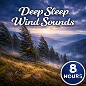 Podcast Deep Sleep Wind Sounds