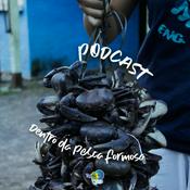 Podcast Dentro da Pesca Formosa