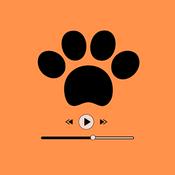 Podcast Dolittle - Il podcast di Bestiale