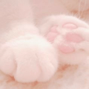 Podcast ⁺˖ ⸝⸝ 𐔌 ʚ 🌸 ɞ
