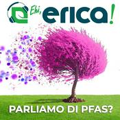 Podcast Ehi, Erica! Parliamo di PFAS?