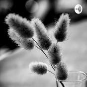 Podcast El Novio Manipulador