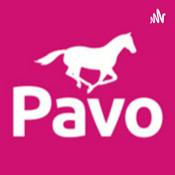 Podcast El podcast de Piensos Pavo sobre caballos