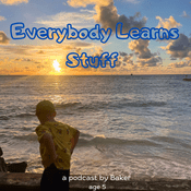 Podcast Everybody Learns Stuff