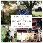 Podcast Figuring Out Homestead Life
