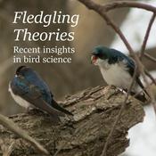 Podcast Fledgling Theories