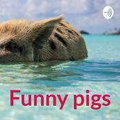 Podcast Funny pigs