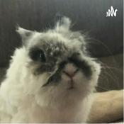 Podcast Game Ted talks