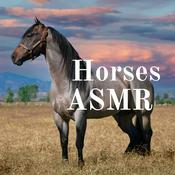 Podcast Horses ASMR