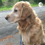 Podcast How to Take Care of a Dog