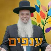 Podcast הרב יגאל כהן - שיעורים שבועיים