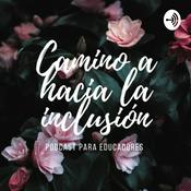 Podcast Incidente crítico: A lejos de estar en inclusión escolar.
